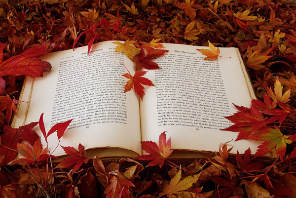 Книга и осенние листья