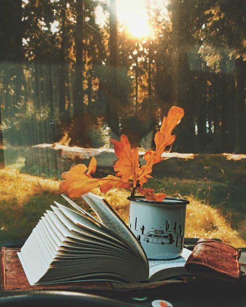 Книги осеннего настроения