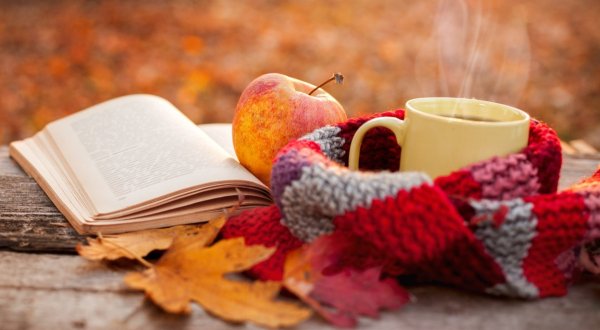 Осень книги фон