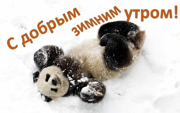 Доброе утро зима жиалтные