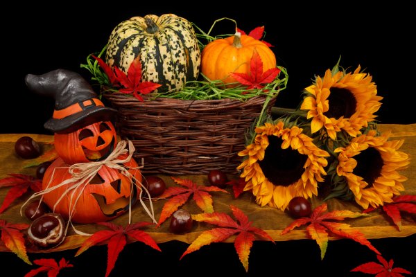 Осень тыквы Хэллоуин