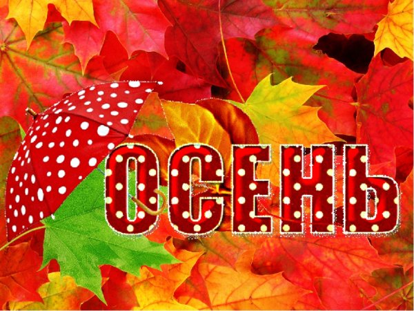 Здравствуй осень Золотая
