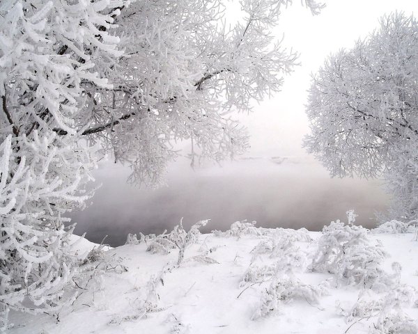 Зимний пейзаж фото