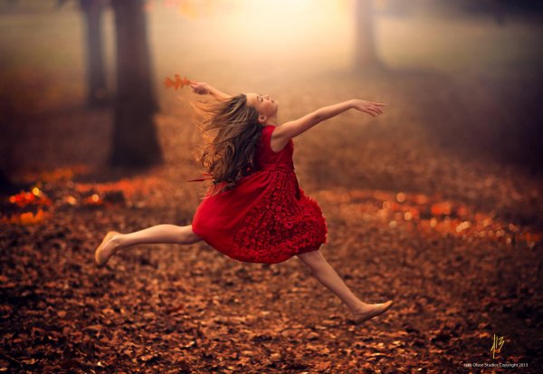 Джейк Олсон (Jake Olson), США