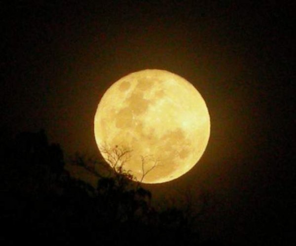 Луна светится