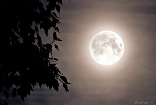 Светящаяся Луна