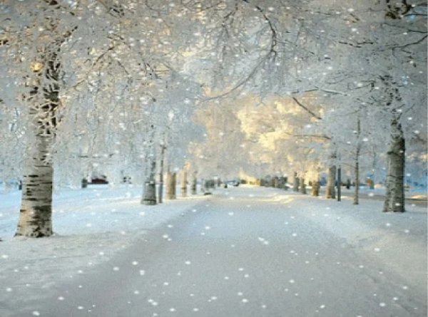 Тихо падает снег