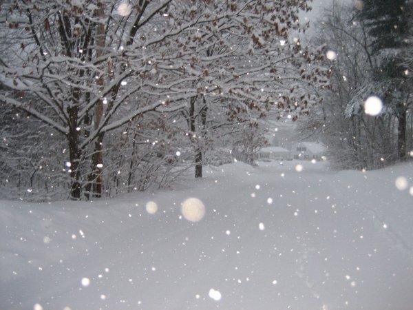 Красивый снегопад