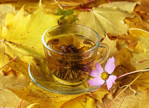 Осенний чай