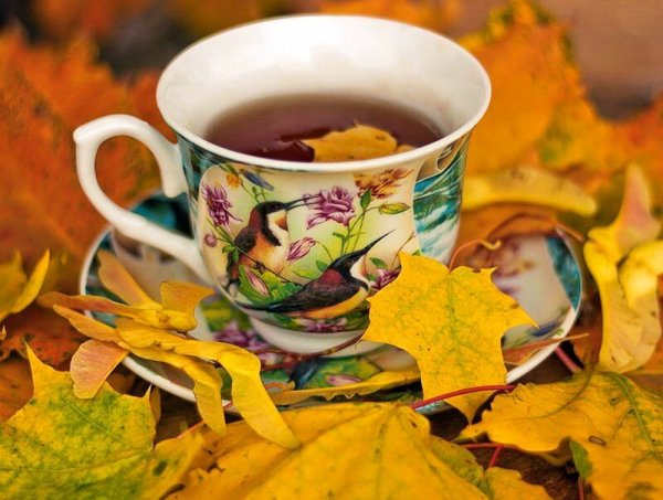Чашка чая осень