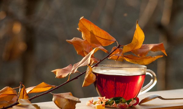 Осеннее чаепитие