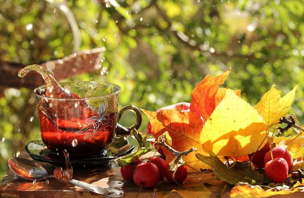 Осеннее чаепитие
