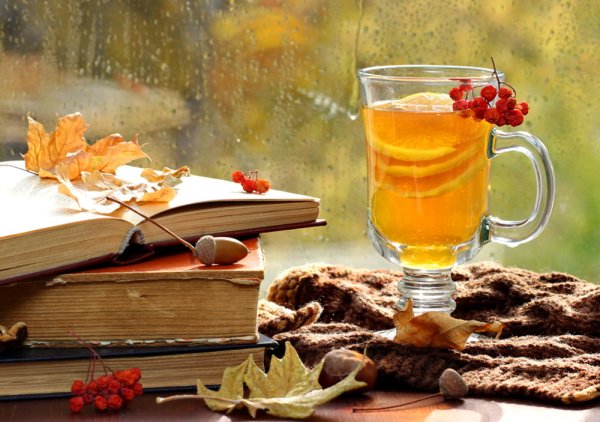 Осень горячий чай