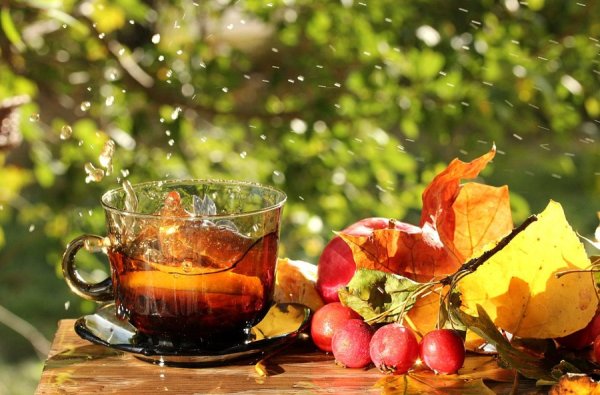 Чай Солнечный осенний