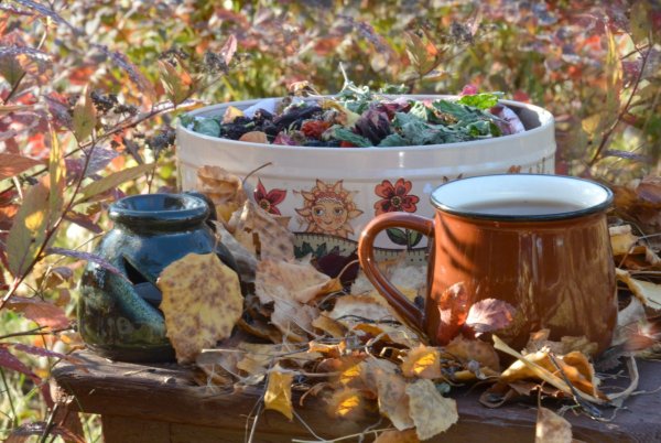 Чаепитие в осеннем саду