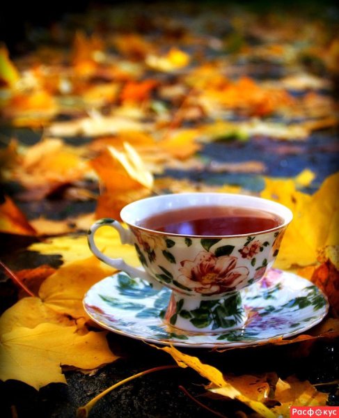 Чашка чая осень
