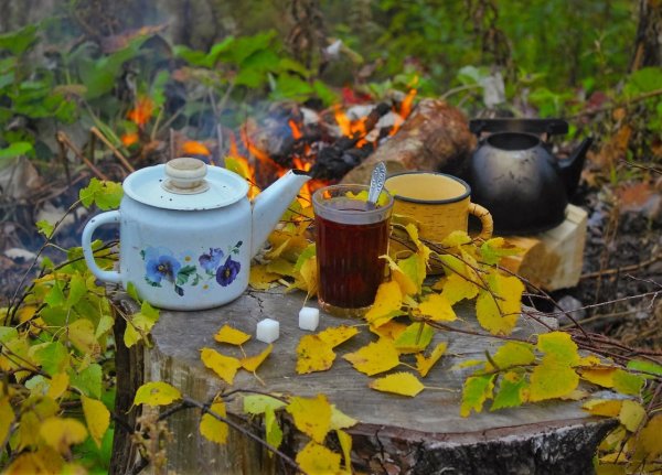 Осеннее чаепитие