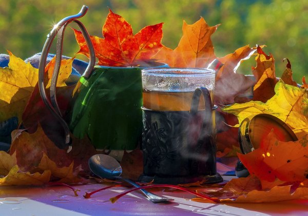 Осенний чай