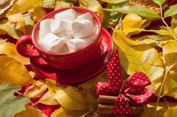 Чай с зефирками и осенними листьями