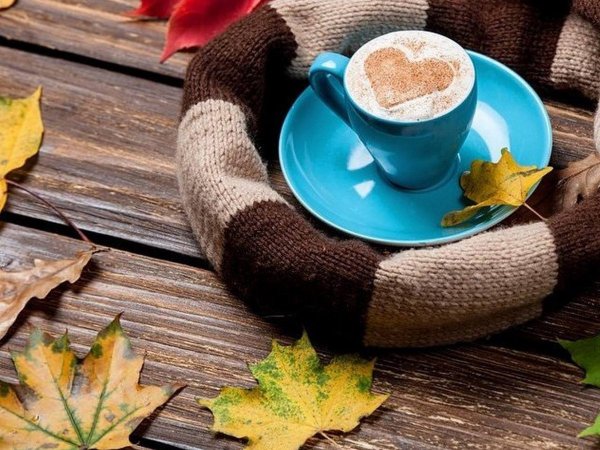 Осень плед кофе