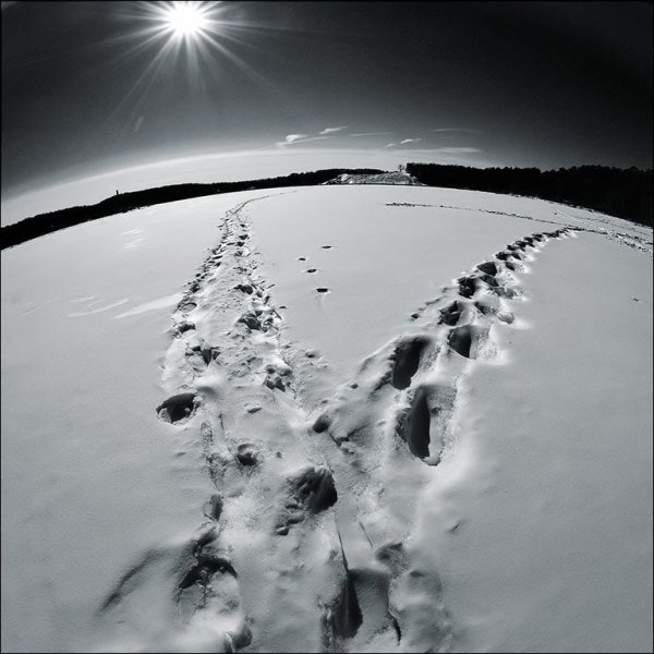 Шаги на снегу