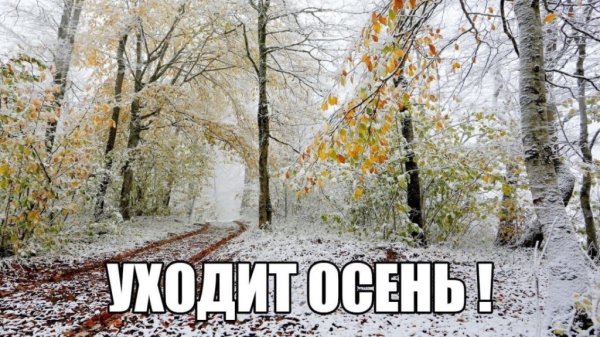 Проводы осени встреча зимы