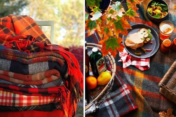 Уютный плед осень