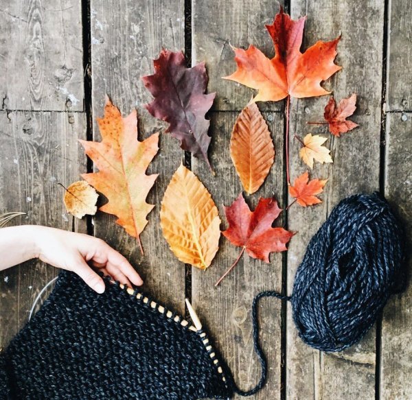 Вязание осенью