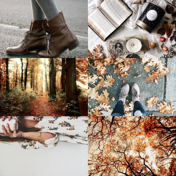 Осенний коллаж