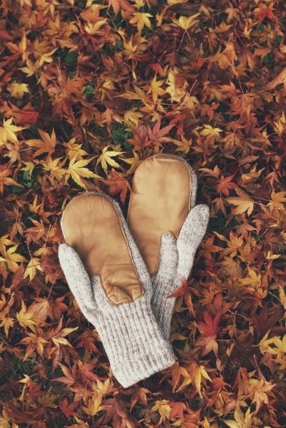 Осень Эстетика