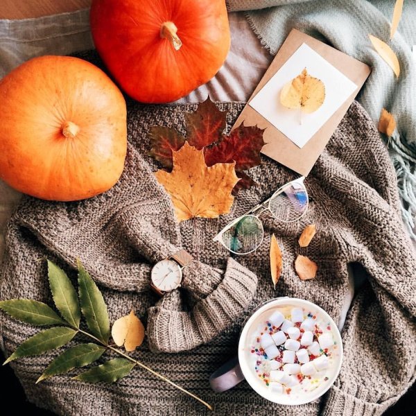 Атрибуты осени