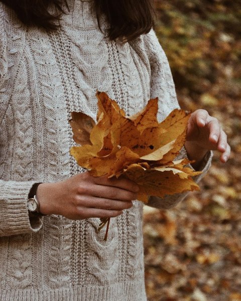 Осенние эстетичные