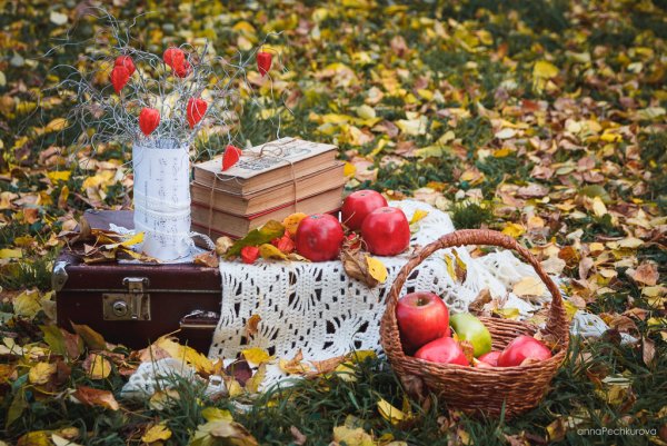 Осенние выходные