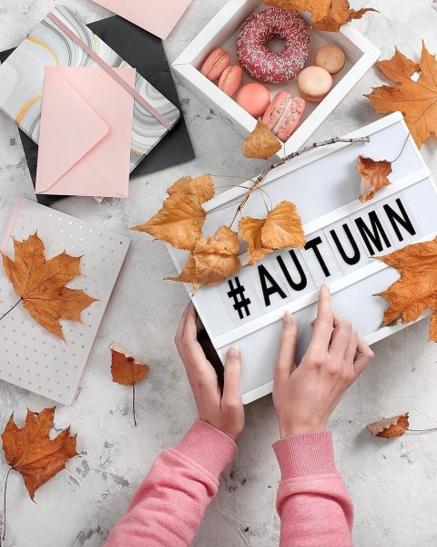 Эстетика осенью