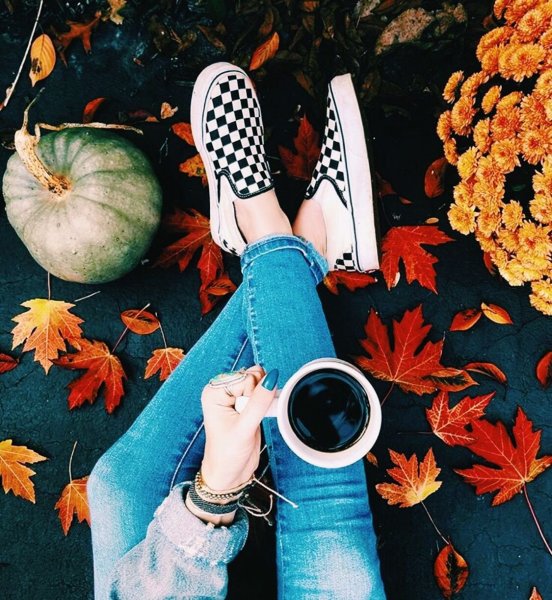 Кеды на осень