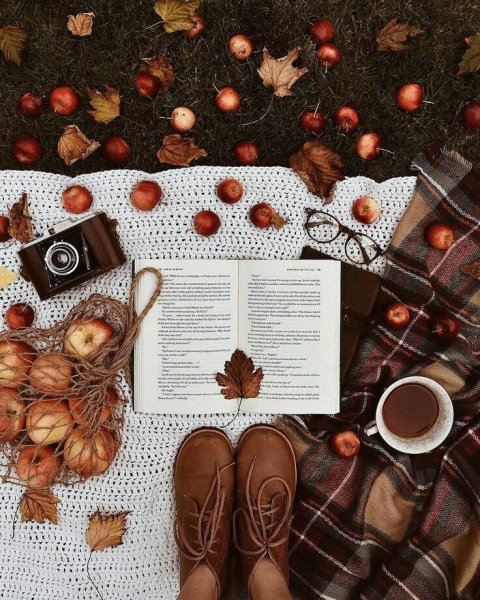 Осенняя раскладка