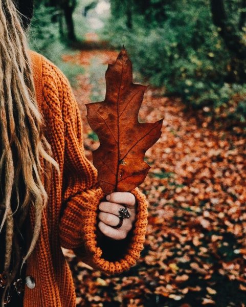 Эстетическая осень