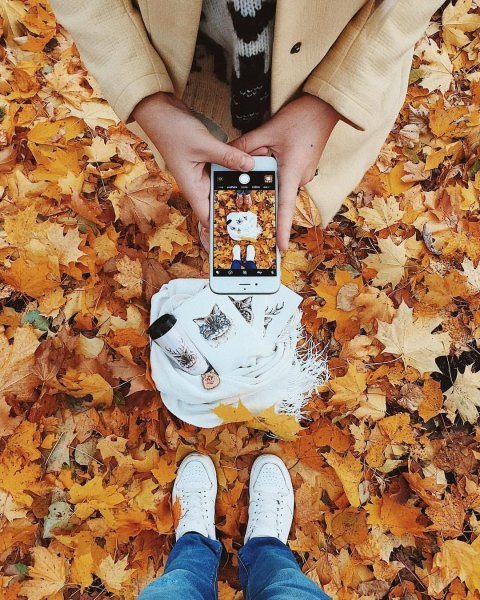 Осенние фотосессии для инстаграмма