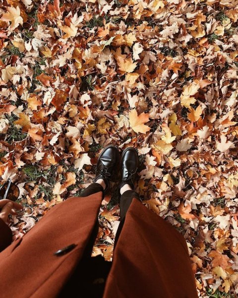 Эстетика осенью