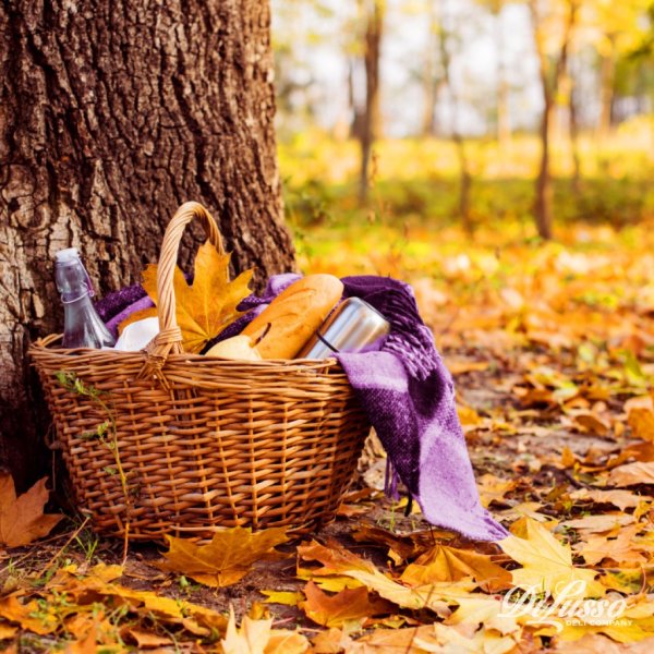 Пикник осенью
