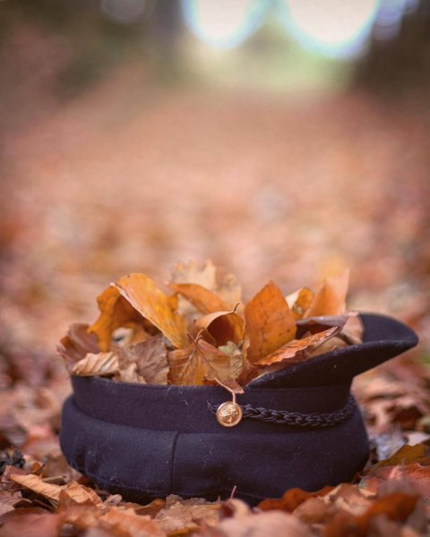 Осенние стильные снимки