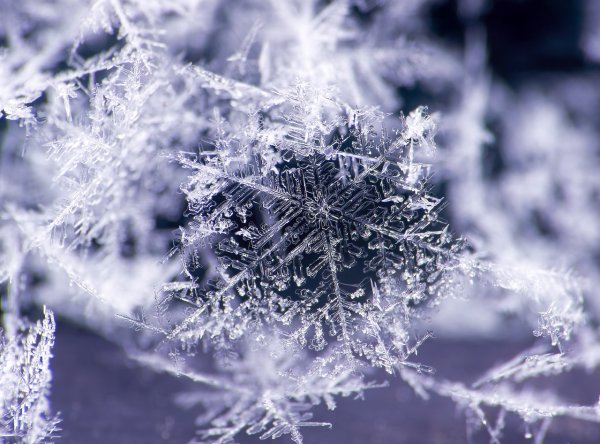 Снежная нежность нежная Снежность тонкая нить серебра