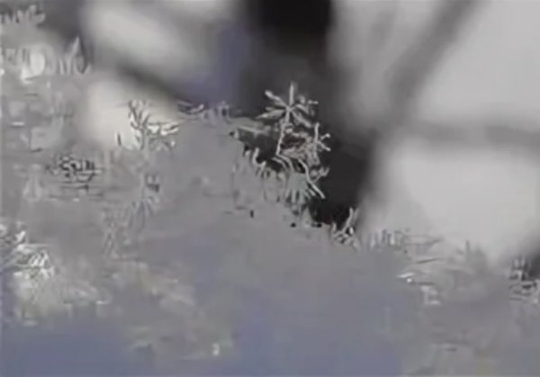 Серебристый снежок