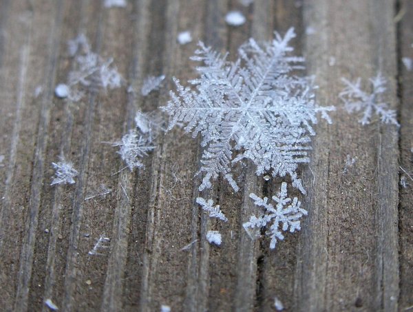 Снежинка реальная