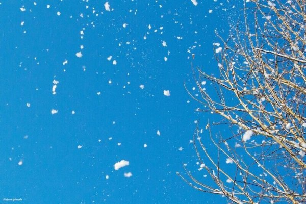 Снежинки в воздухе кружатся