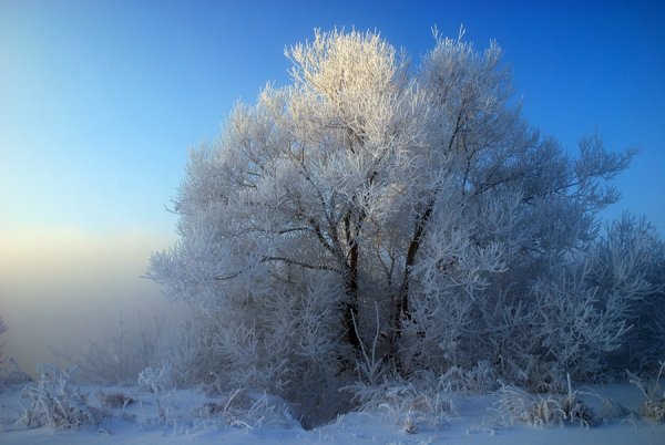 Настоящая русская зима