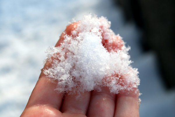 Снег в ладошках