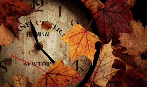 Часы в осенней листве