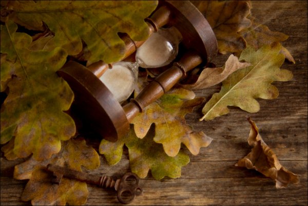 Осенние предметы