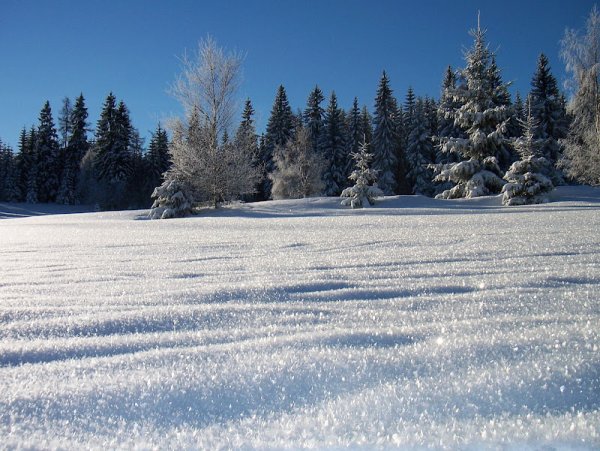 Ближайший чистый снег